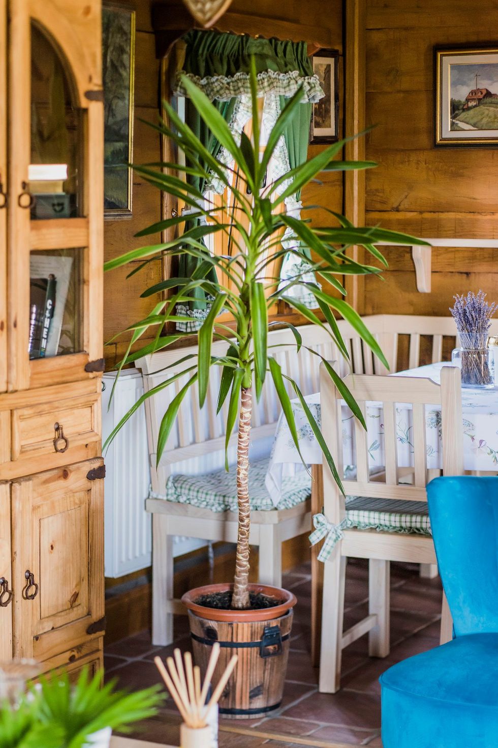 villa_botanica22-180718 (1)