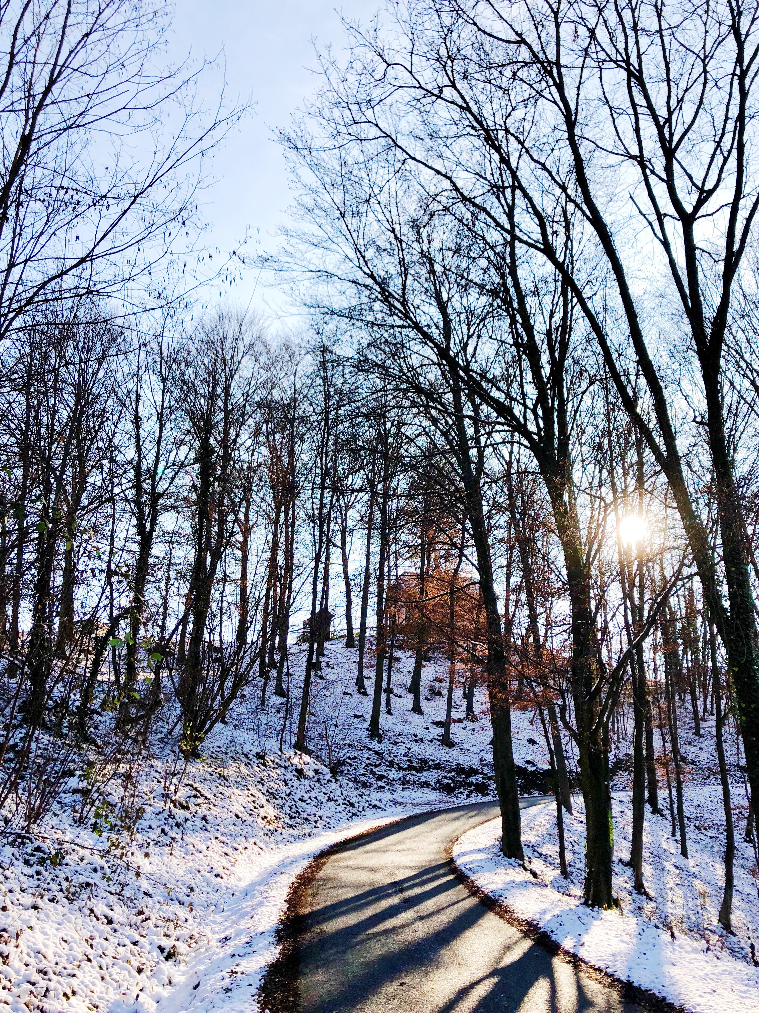 Processed with VSCO with s3 preset